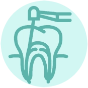 Root Canal Balmoral
