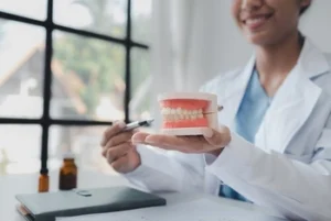 dentist showing a mouth model dentist showing a mouth model